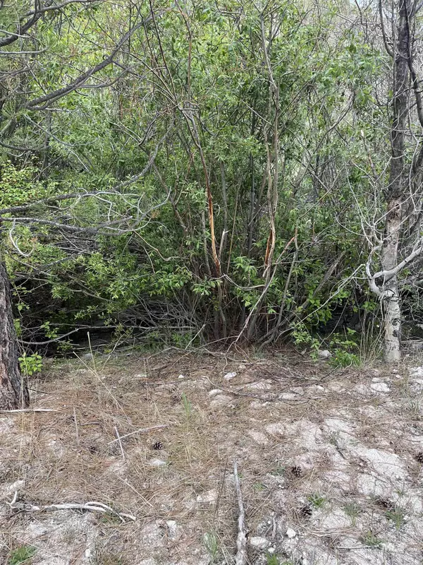 Mayfield, ID 83647,160 Tbd