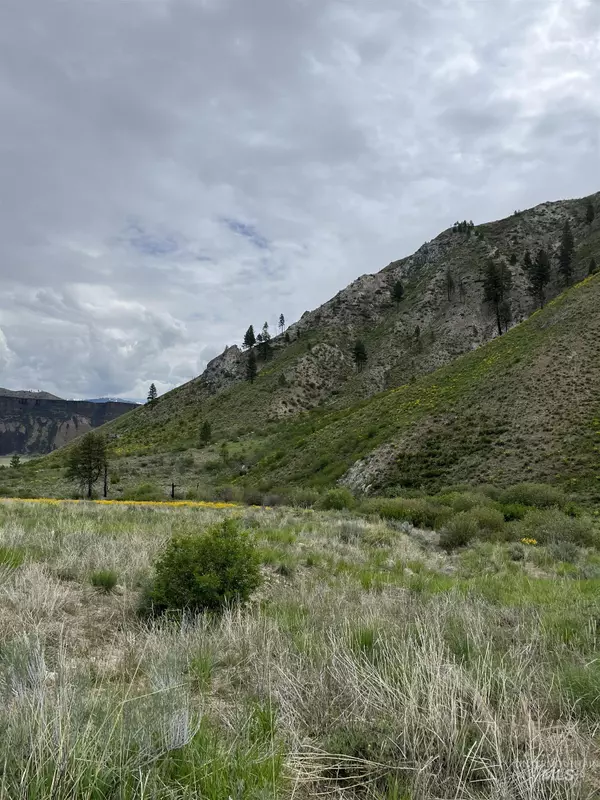 Mayfield, ID 83647,160 Tbd