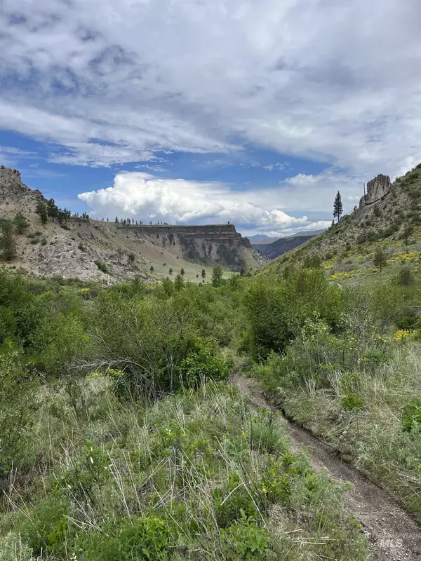 Mayfield, ID 83647,160 Tbd