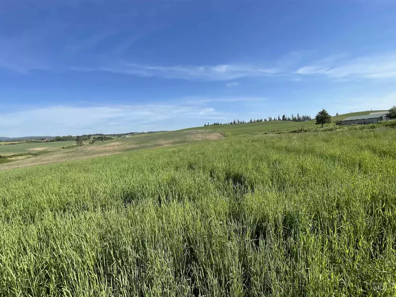 NKA Hwy 8, Troy, ID 83871