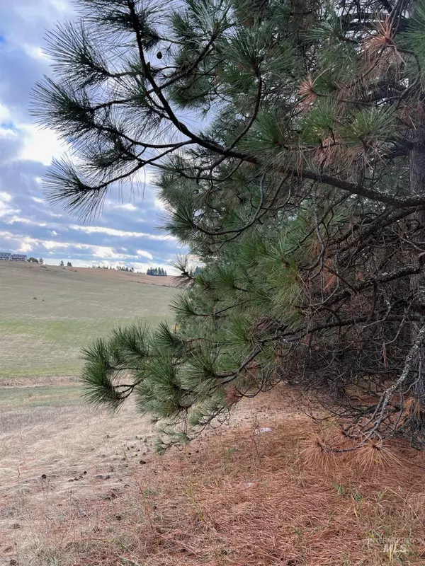 Deary, ID 83823,TBD East Rd