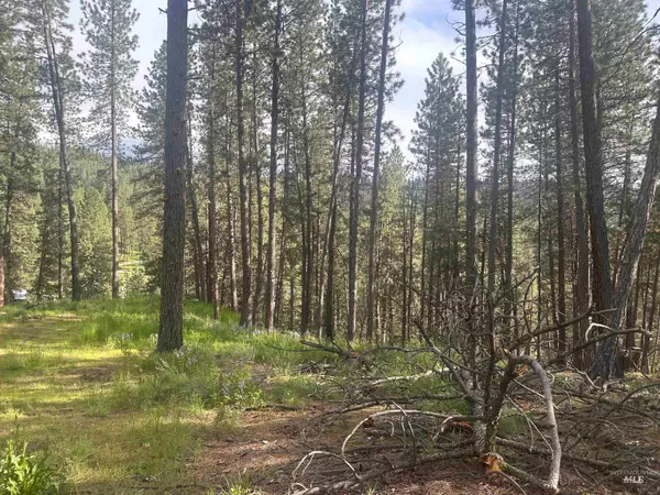 Boise, ID 83716,TBD Banner Rd