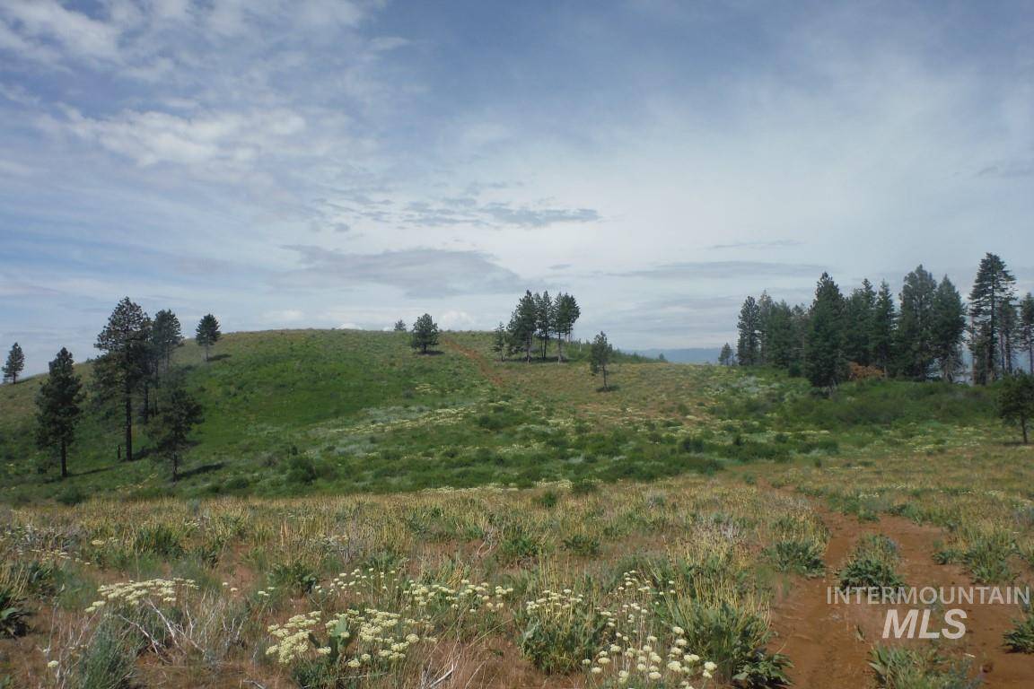40 Fall Creek Rd, Council, ID 83612