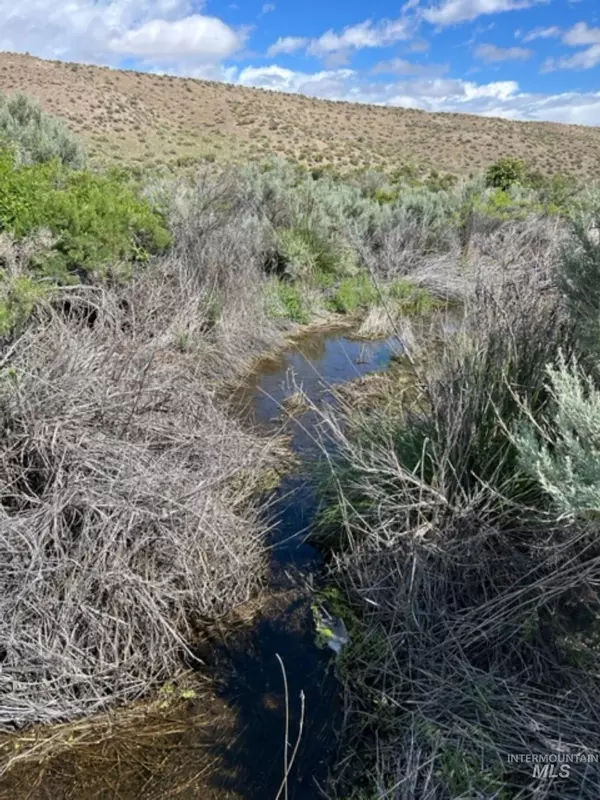 Bruneau, ID 83624,27991 Mud Flat Rd