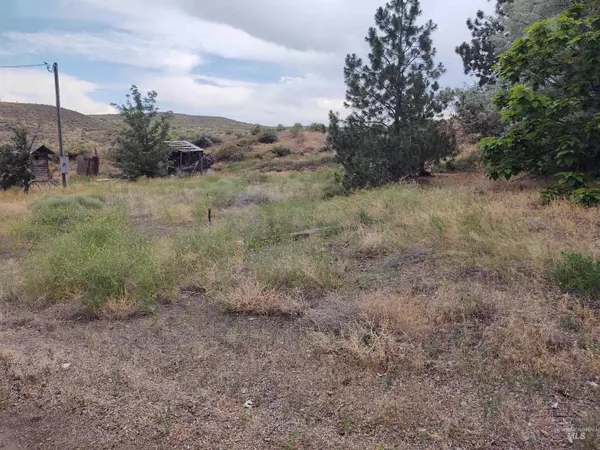 Murphy, ID 83650,12923 Delamar