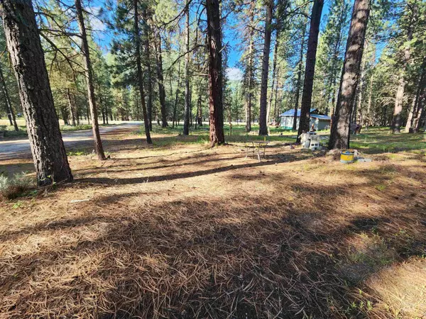 Lowman, ID 83637,12 Wilson Lane