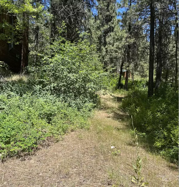 Idaho City, ID 83631,4 Pinon Court