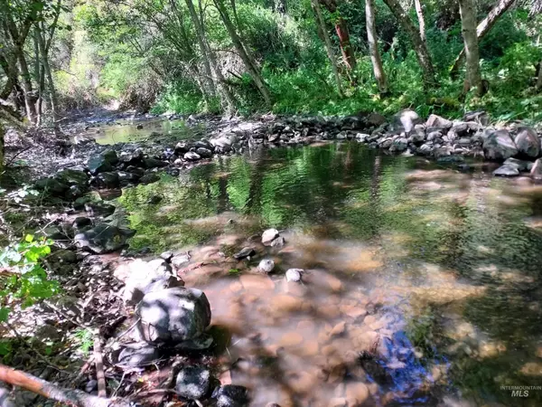 Peck, ID 83545,46601 Little Canyon Rd