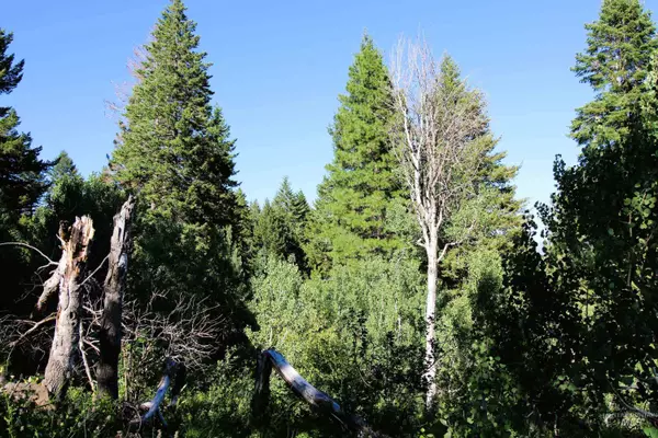 Cambridge, ID 83610,TBD Cow Creek Rd