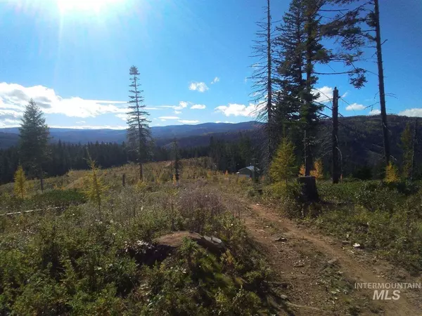 Elk City, ID 83525,TBD French Gulch Rd Parcel #2
