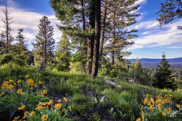 Placerville, ID 83666,Parcel 7 Harris Creek Rd