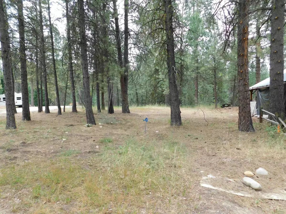 Featherville, ID 83647,TBD E River Drive