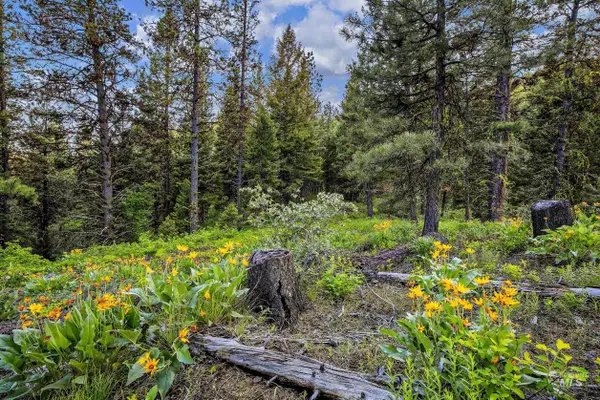 Placerville, ID 83666,Parcel 4 Harris Creek Rd