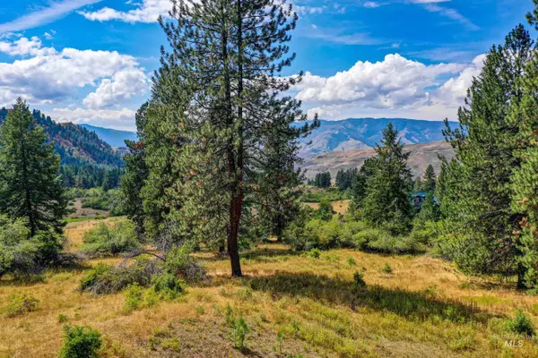 White Bird, ID 83554,142 Wagon Wheel Lane