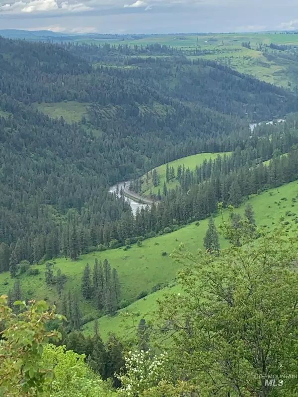 Harpster, ID 83552,TBD & 590 Conifer Ln