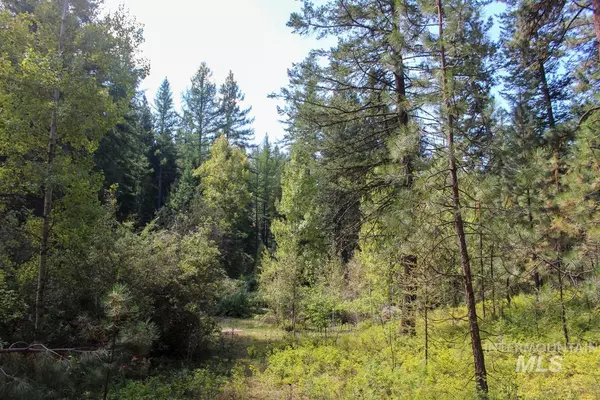 Cascade, ID 83611-9999,9 Osprey Ridge Road