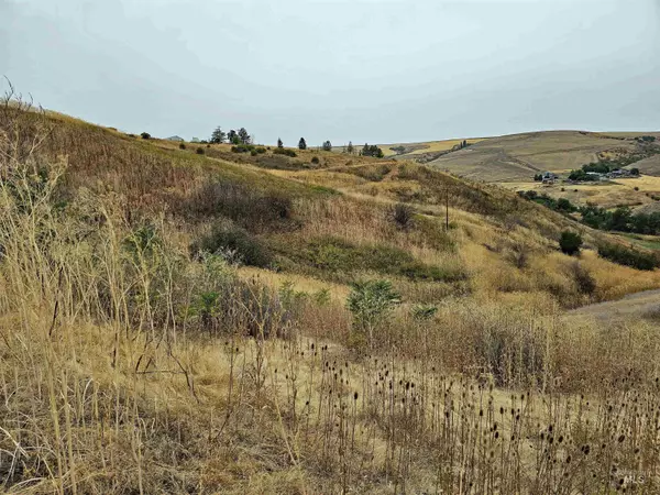 Lapwai, ID 83540,TBD Sander Grade, Parcel 2