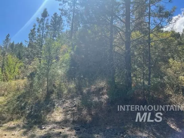 Kooskia, ID 83539,TBD Sonny Lane