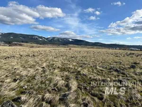 Grangeville, ID 83530,TBD Parcel 2B Whitetail Dr