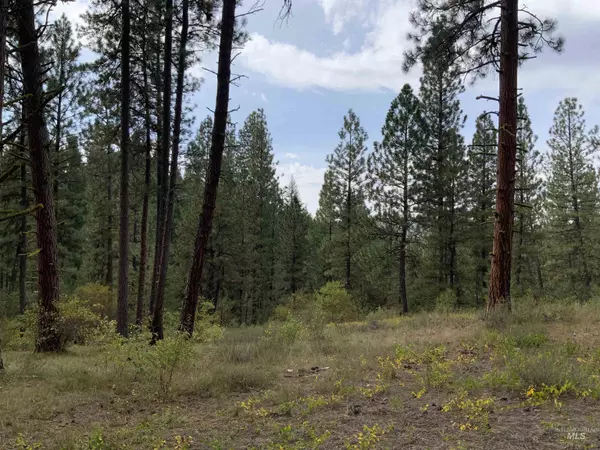 Idaho City, ID 83631,TBD Bull Pine