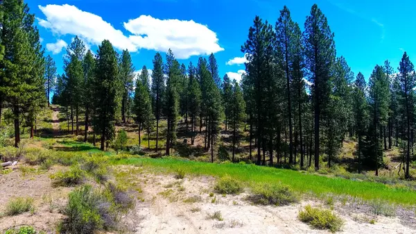 Idaho City, ID 83631,Tbd2 Meadow Creek Drive