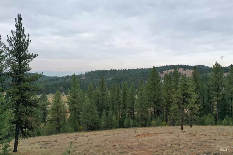 Lot 20 Tamarack View Dr, New Meadows, ID 83654