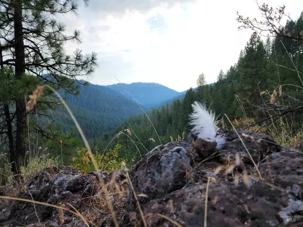 New Meadows, ID 83654,Lot 42 Hillman Basin Road