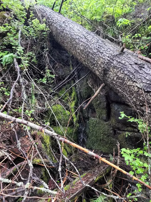 New Meadows, ID 83654,Lot 42 Hillman Basin Road