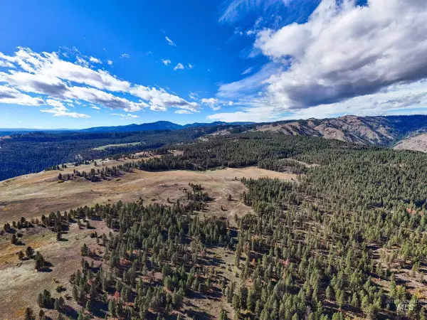 Anatone, WA 99401,NNA Cougar Creek Road