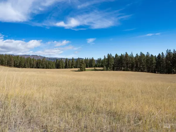 Anatone, WA 99401,NNA Cougar Creek Road