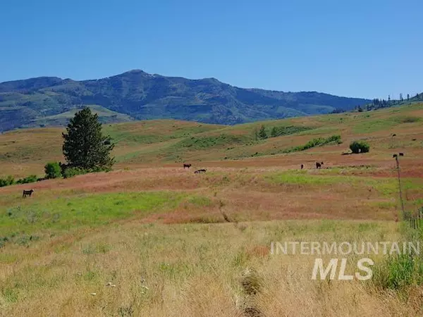 Indian Valley, ID 83632,TBD North Grays Creek Road