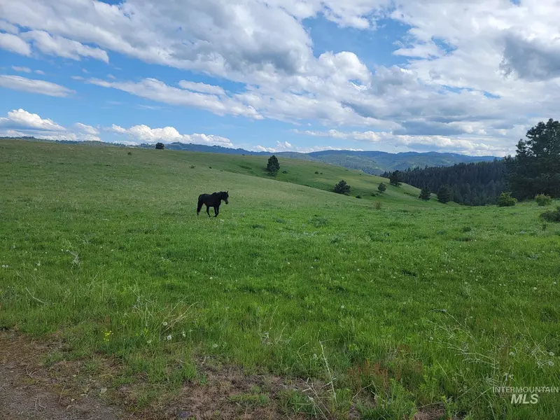 None Rice Creek Jeep Trail, Cottonwood, ID 83522
