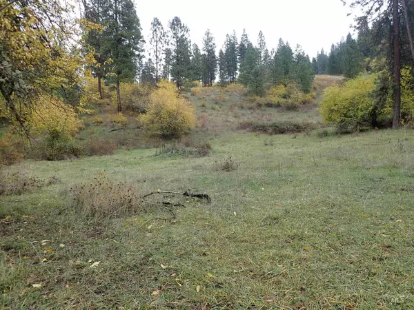 TBD Jacks Canyon Rd 50.44 Ac, Lenore, ID 83541