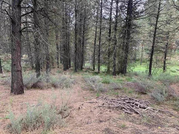 Centerville, ID 83631,Lot 31 S Meadow Creek Drive