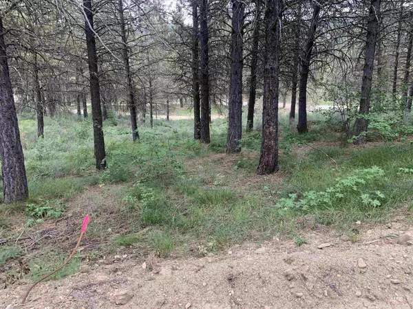 Centerville, ID 83631,Lot 31 S Meadow Creek Drive