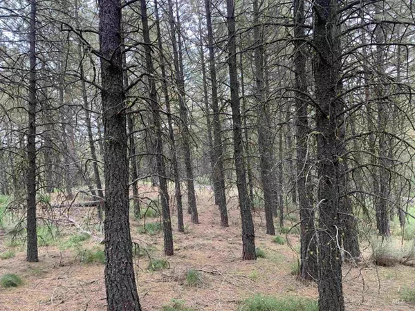 Centerville, ID 83631,Lot 31 S Meadow Creek Drive