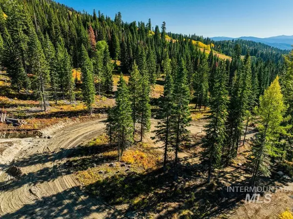 Mccall, ID 83654,TBD CtgLot10 North Loop Road
