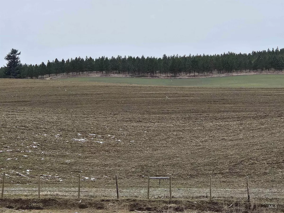 Culdesac, ID 83524,tbd Reubens Gifford Road