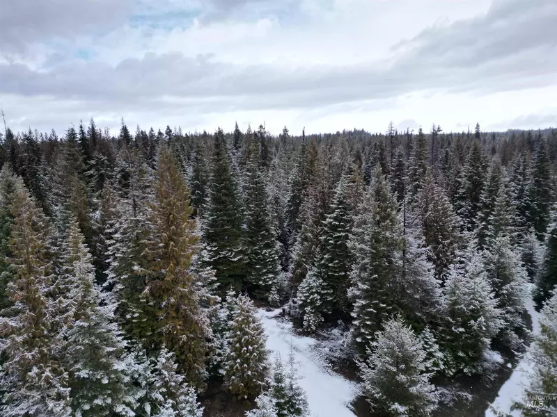 TBD #8 Hjalmar Johnson Road, Weippe, ID 83553