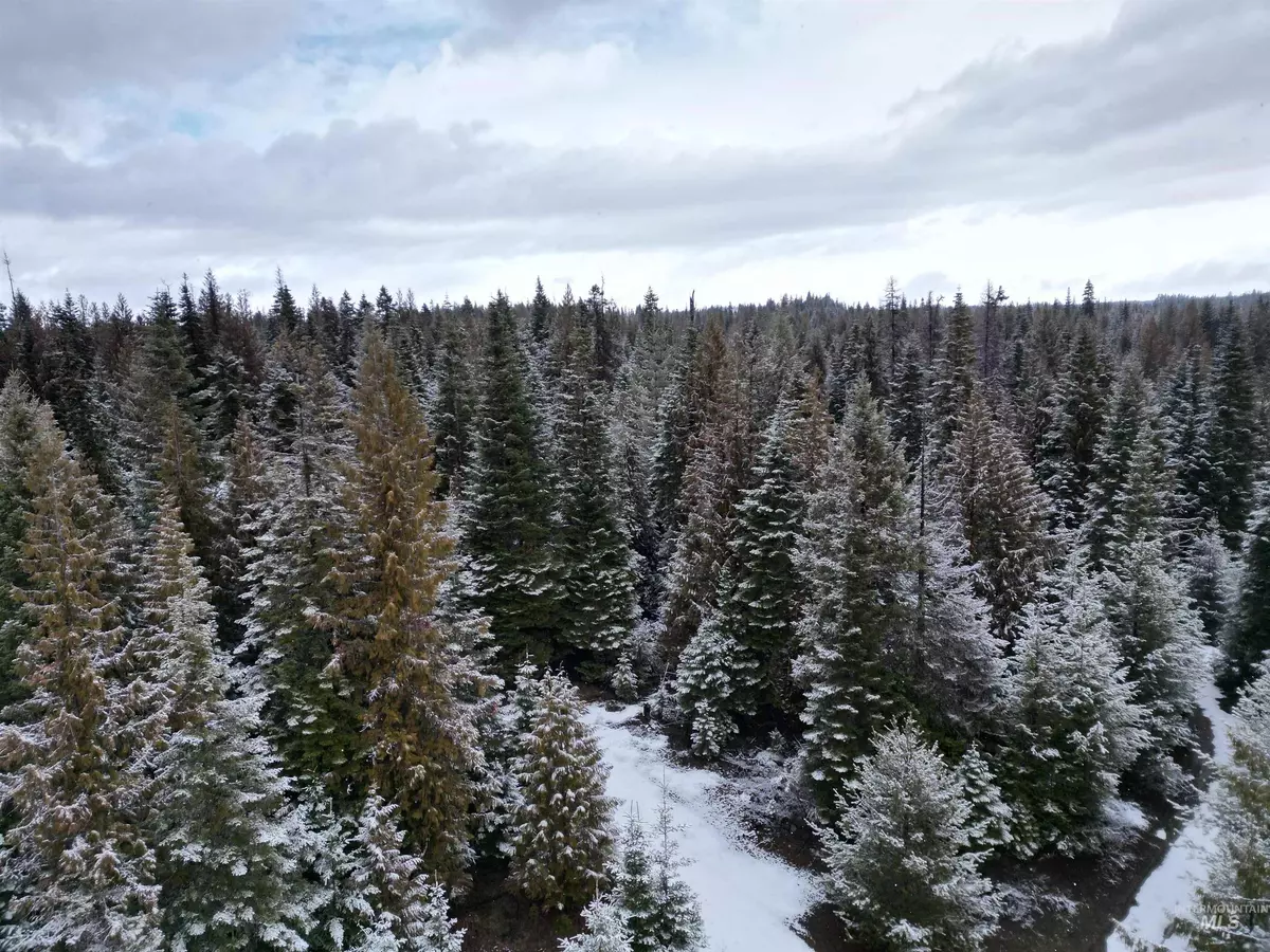 Weippe, ID 83553,TBD #8 Hjalmar Johnson Road