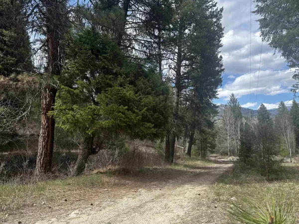 Lowman, ID 83637,TBD Lot 7 Valley View Way