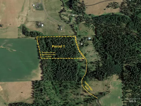 Moscow, ID 83843,000 Saddle Ridge (Parcel 1)