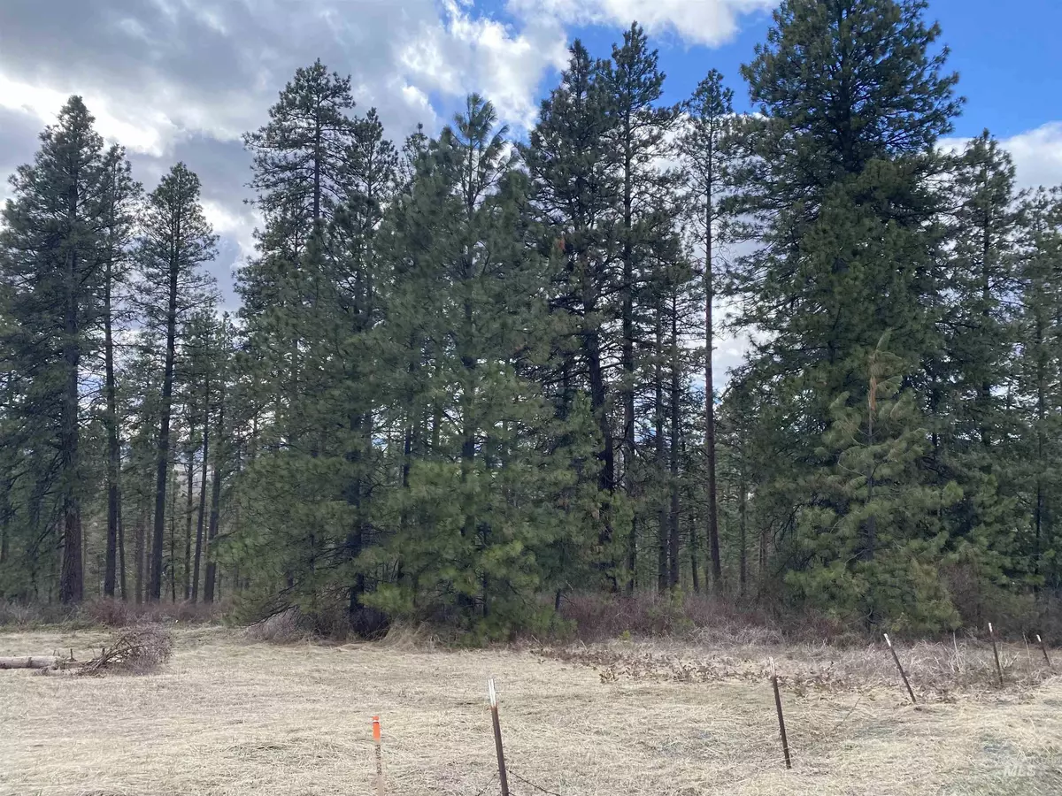 Moscow, ID 83843,000 Saddle Ridge (Parcel 1)