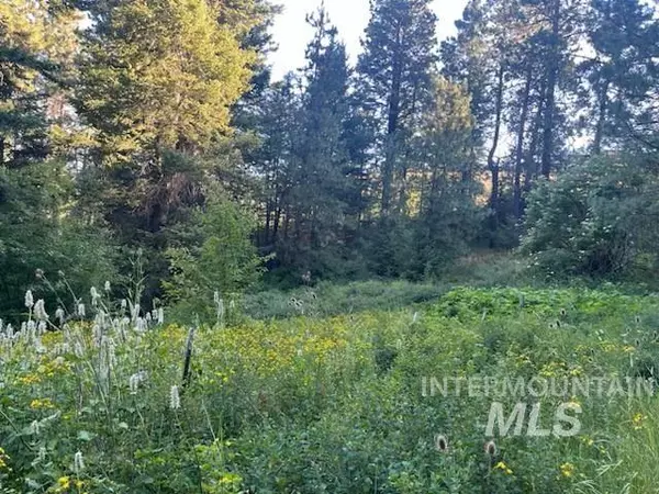 Lewiston, ID 83501,TBD Bobcat Lane
