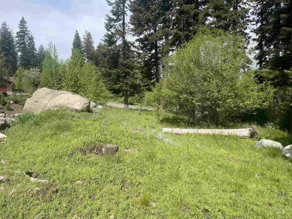 Mccall, ID 83638,1371 Aspen Ridge Ln