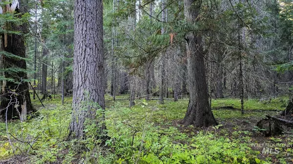 Weippe, ID 83553,36.5 acres Of 5856 Lacey Meadows Rd