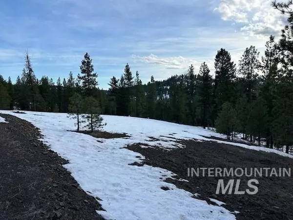 New Meadows, ID 83654,ABC Tamarack View Drive