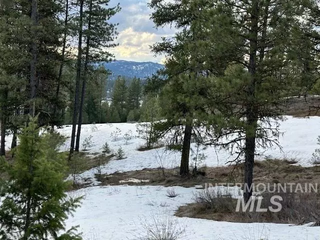 New Meadows, ID 83654,ABC Tamarack View Drive