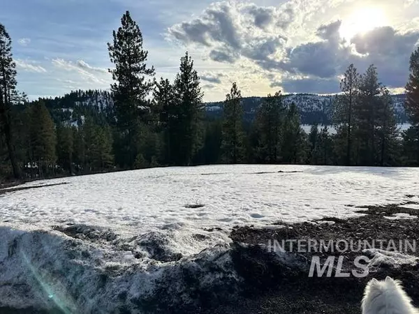 New Meadows, ID 83654,ABC Tamarack View Drive