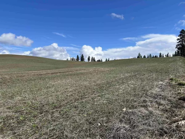 Princeton, ID 83857,TBD Bear Creek Rd